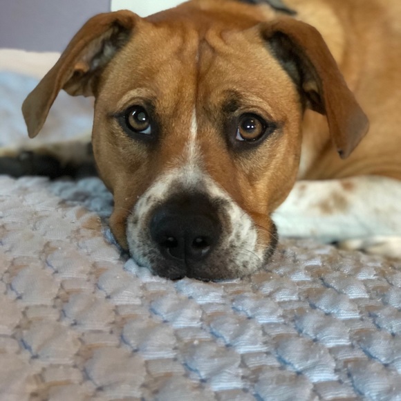 Lori & Roadie say hi! - Picture 6 of 15